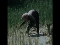 SYND 17-8-73 PLIGHT OF REFUGEES IN PHNOM PENH Instructional Video