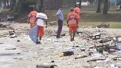 CLEAN : Cleanup as dead fish blight Rio Olympic bay again News Clip