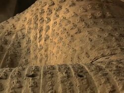MS TD Shot of hundreds of tiny Buddha sutra carving figures at Yungang Grottoes / Datong, Shanxi Province, China Stock Footage