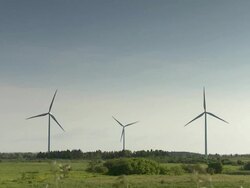 Aeolians in a field  Stock Footage