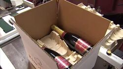 New figures show sales of sparkling wine have soared 80 per cent in the UK. And it's not just champagne - we've guzzled over 30 million gallons of cava and prosecco in the last year. News Clip