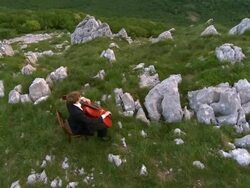 CRANE: Playing Cello Outdoors Stock Footage