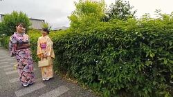 Young Japanese Women Wearing Traditional Kimonos Stock Footage