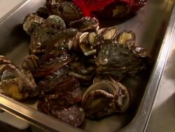Chef putting abalone on tray. Stock Footage