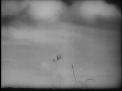 B/W 1944 long shot tilt down fighter plane crashes + explodes in jungle on island in the Pacific / documentary Stock Footage