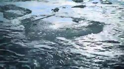 Ice Floe Stock Footage