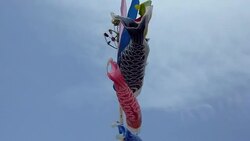 CLEAN: Relief efforts in the tsunami-hit town of Minamisoma News Clip