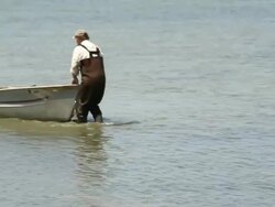 WS PAN Group of Watermen Pushing Small Boats with Clams Ashore / Oyster, Virginia, USA Stock Footage