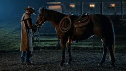 SLO MO Cowboy taking his horse into stables at night Stock Footage