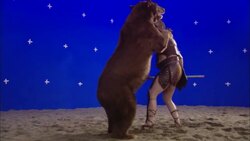 A bear attacks a gladiator in front of a blue screen. Stock Footage