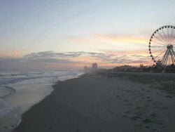 Myrtle Beach Stock Footage
