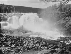 Loggers and manual labourers. Sweden, 1960s Stock Footage