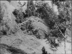 B/W 1910s biplane crashing into ground / World War I / newsreel Stock Footage