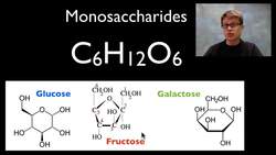 Carbohydrates Instructional Video