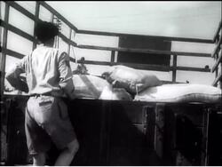 PALESTINE - UN CONVOY & GUN RUNNER ON FIRE News Clip