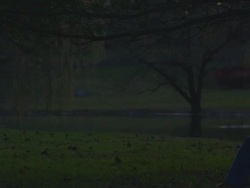 two dancers dancing in nature Stock Footage