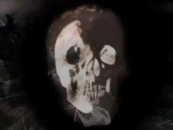 Skull Fear Texture Stock Footage