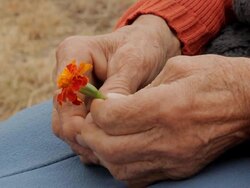 loneliness Stock Footage