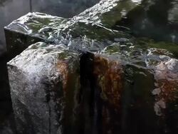 Fresh Water Stock Footage