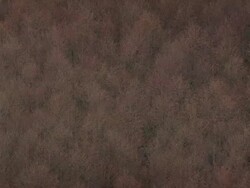 WS AERIAL View of forest / Oregon, United States Stock Footage