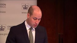Prince William gives a speech at the Charity Commission Annual Public Meeting News Clip