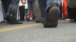 Tens of thousands keep up protests against rulers Instructional Video