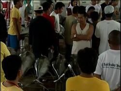 A look at The Philippines' tuna capital News Clip