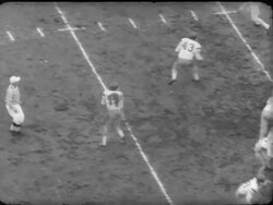 Washington Huskies vs. Stanford Cardinals college football game Stock Footage