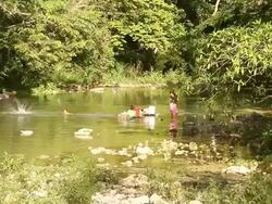 MS Shot of children playing in river lined with trees / aguacate, toledo, belize Stock Footage