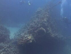 Shipwreck - Carnatic Stock Footage