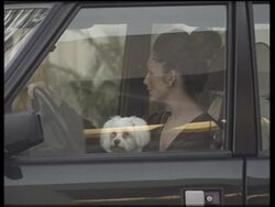 Beverly Hills News Clip