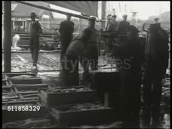 1940: SWEDEN: FISHING INDUSTRY: Small wooden fishing boat into harbor. Fishermen dumping crate of fish into box at dock. Fishermen unloading cargo hold, crates of fish onto dock. Woman weighing fish w/ manual scale. Women display fresh fish for sale. Instructional Video