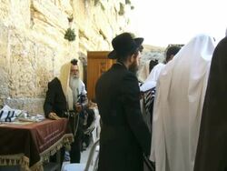 MS Orthodox Jews praying at Western Wall in old city of Jerusalem / Jerusalem, Judea, Israel Stock Footage