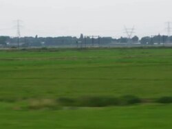 Tracking shot of an agricultural landscape Stock Footage