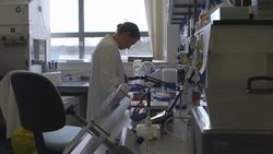 Giving our brains the technology to command - health in 2016 News Clip