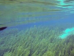 kayaking river Stock Footage