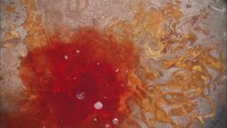 Blood spills into a basin of water. Stock Footage