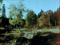 Skier trains on wheels in the summer, Norway, 1970s Stock Footage