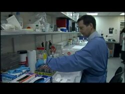 Swine Flu virus lab  News Clip