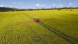 Rapeseed Spraying Stock Footage