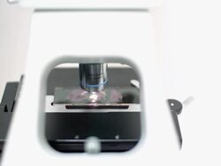 Microscopy and tissue slide (HD) Stock Footage