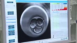 VOICED : Espana, El Dorado de los tratamientos de reproduccion asistida News Clip