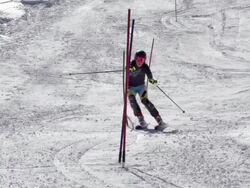 HD Motion Effect: Young Woman Practicing Slalom Skiing Stock Footage