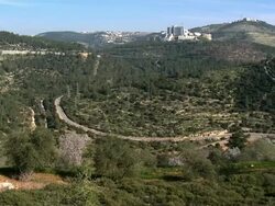 WS PAN View of terrases with blooming almond trees in spring / Jerusalem, Judea, Israel Stock Footage