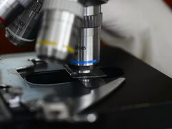 Microscopy (HD) Stock Footage