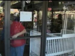 DV LA Puppy Store Instructional Video