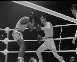 WEMBLEY KO STUNS FANS News Clip