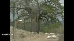 Driving along Zimbabwe South African border News Clip