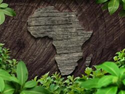 africa map jungle Stock Footage