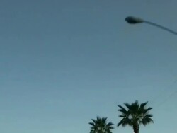 (HD1080i) Tropical Abstract: Endless Palm Trees - High Speed Loop-able Stock Footage